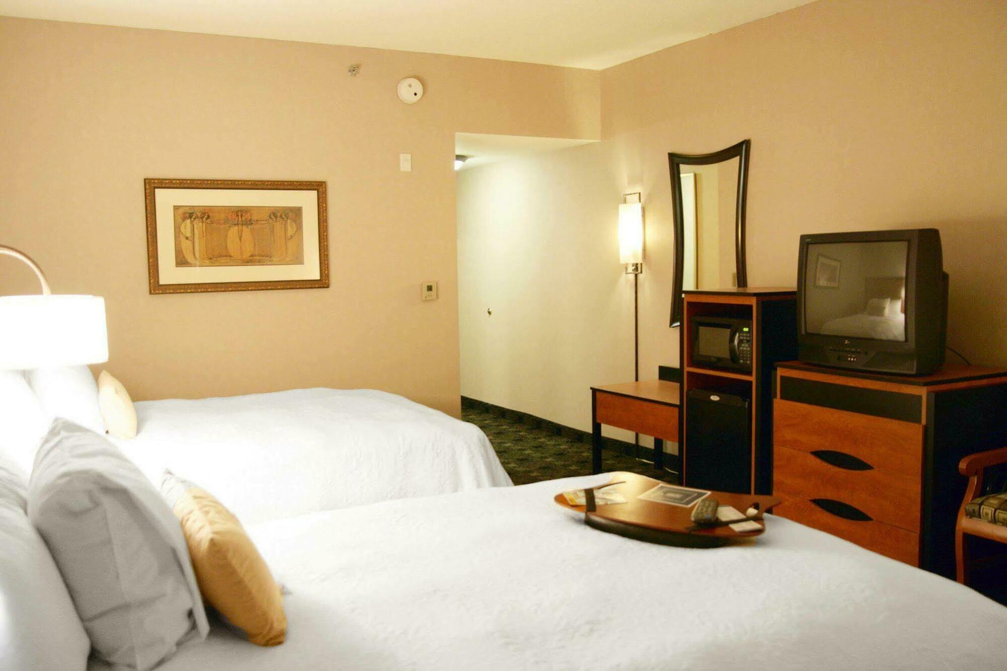 Hampton Inn And Suites Indianapolis-Fishers Pokoj fotografie